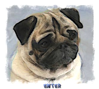 Welcome to Raevon and Edendale Pugs