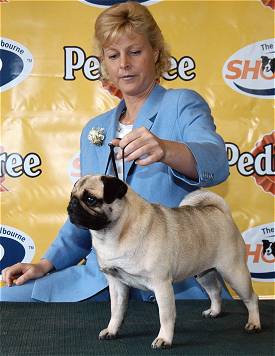 Billy and Belinda after winning Bitch Challenge at the 2003 Melbourne Royal