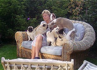Relaxing in the garden